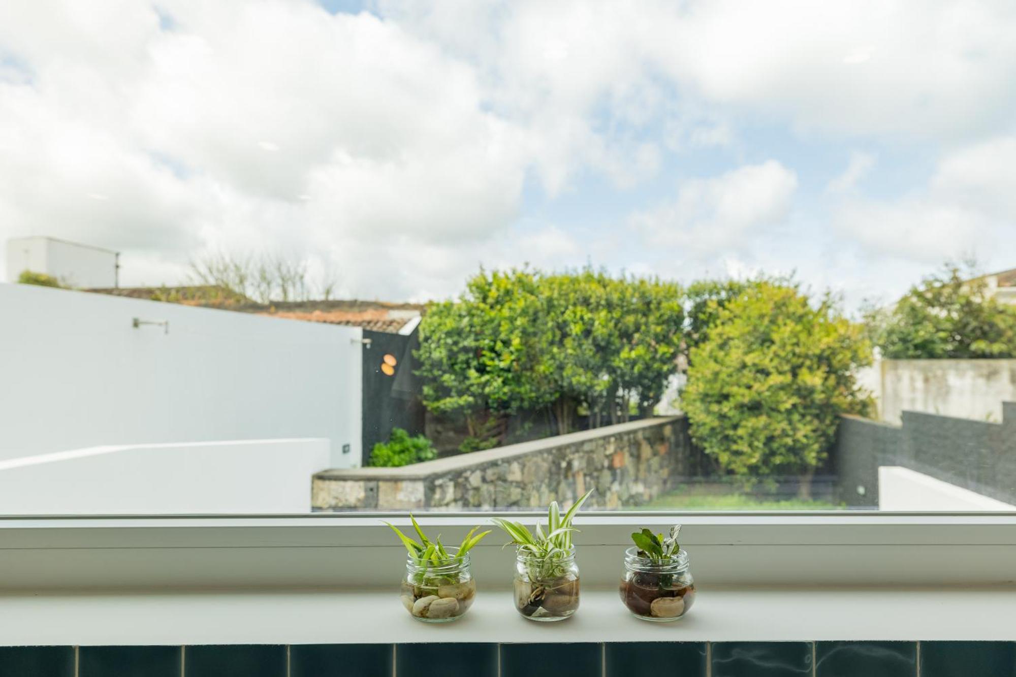 Xª Deluxe Apartments Ribeira Grande Eksteriør bilde